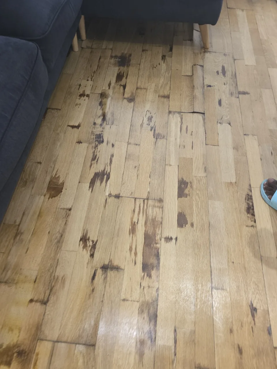 Water-damaged flooring with raised and discoloured sections beside the sofa.